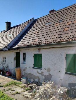 Geschichte erhalten und leben - denkmalgeschütztes Kolonistenhaus für Individualisten - Karlskron