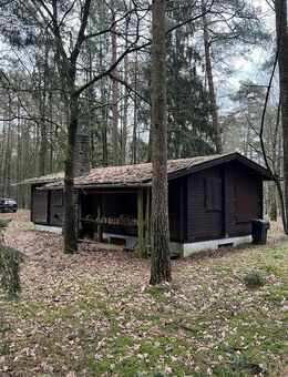 Wochenend-Blockhaus mit 8.922m² Waldgrundstück - Tostedt