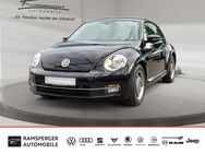 VW Beetle, 1.2 TSI Cup, Jahr 2014 - Kirchheim (Teck)