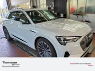 Audi e-tron 50 S LINE LM21 LEDER AHK PANO VIRT.SPIEGEL BuO - Plettenberg