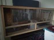 Terrarium für Reptilien, Schildkröten - Laatzen