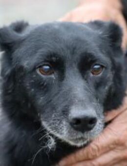 Wally - sehr liebenswert u. angenehm - Lohra