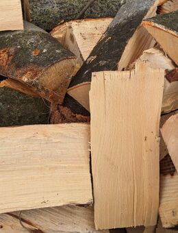 Brennholz Buche kammergetrocknet - Würzburg