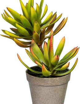 Künstliche Zimmerpflanze Deko-Sukkulente Aloe plicatilis Aloe, Creativ green, Höhe 30 cm