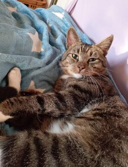 Vermisst seit dem 2.11.25 - Stüdenitz-Schönermark