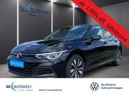 VW Golf, 2.0 TDI 8 VIII Move Panodach, Jahr 2023 - Werl