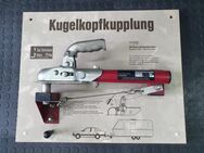 Fahrschulmodell Kugelkopf - Arnsberg