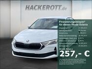 Skoda Octavia, 1.5 TSI Selection, Jahr 2024 - Langenhagen