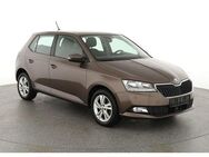 Skoda Fabia Style 1.0 TSI Style, Sitzheizung, Clima... - Oelde