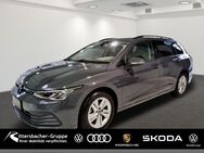 VW Golf VIII Variant 2,0 TDI LIFE Navi Licht+Sicht - Kusel