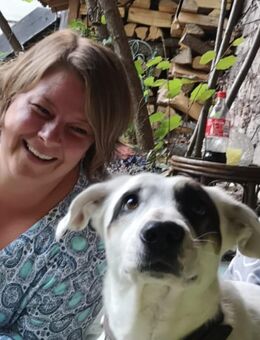 Biete Hundesitting - Bad Kreuznach
