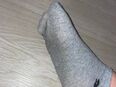 Süße graue Söckchen in schwitzigen Schuhen getragen in 25348