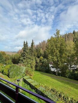 Provisionsfrei, nahe Kurpark! Mit Dachterrasse und Wintergarten! Schnelles Internet möglich! - Altenau Zentrum