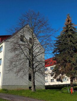 4-Zimmer-Wohnung, frisch saniert mit Potenzial - Ostrau