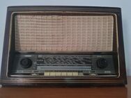 SABA Röhrenradio Wildbad 8 1957/1958 toller warmer Klang! - Gründau