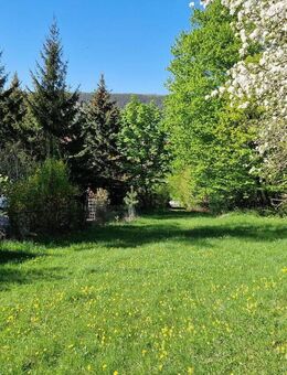 •••1360 m² Baugrundstück mit Altbestand in ruhiger Lage + 2454 m² Freizeitgrundstück••• - Jena