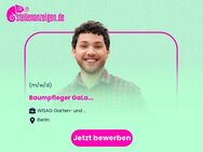Baumpfleger (m/w/d) GaLa - Berlin