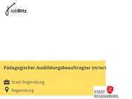 Pädagogischer Ausbildungsbeauftragter (m/w/d) - Regensburg