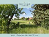 Gemütliches Einfamilienhaus zum Modernisieren in schöner Feldrandlage ... - Roklum
