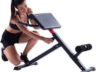 Christopeit Sport® Bauchtrainer AB 1000