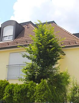 Sehr gepflegte 4 Zimmer-Wohnung in ruhiger Lage! - München