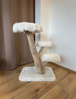 Kratzbaum Natur, Katze, Kater, Kitten - Werl Zentrum