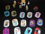 Minions Fan Set, 23 Teile - Hürth