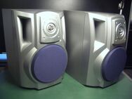 1 Paar Aiwa SX-NS223 Lautsprecher Boxen - Egling