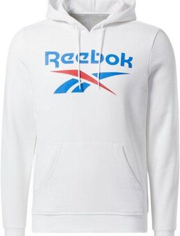 Reebok Kapuzensweatshirt