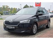 Skoda Fabia Ambition Apple Car Winter Tempomat PDC - Altenberge