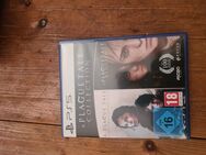 A Plaque Tale - Collection PS4 - Hille