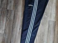 Neu originale Hose von Adidas zum Schnäppchen Preis gr.S - Bannewitz