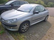 Peugeot 206cc TÜV 1/25 - Marne