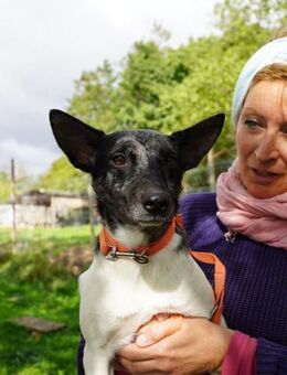 Sarolta-VA- ungwöhnlich hübsch - Neustadt (Rübenberge)