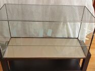 Terrarium ca 80 x 41 x 35 cm mit Deckel - Northeim