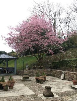 Außergewöhnliches Anwesen mit Galerie und Gartenidylle in hervorragender Lage - Fulda