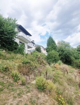 Selters (Ts): Besondere Immobilie ( Wohnraumwunder) mit Fernblick und schönem Terrassengrundstück - Selters (Taunus)