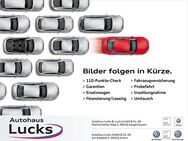 VW Golf Variant, 2.0 TDI MOVE Life 110kW, Jahr 2024 - Sangerhausen