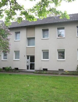 Hier ist Platz zum Wohnen - Dinslaken