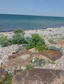 Freundschaft zu einem humorvollen und neugierigen Mann in 18055