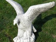 Adler Beton-Steinfigur NEU Höhe 68 cm - Hergisdorf