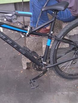 Fahrrad Mountainbike Bulls 29 - Brühl (Nordrhein-Westfalen)