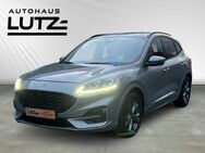 Ford Kuga, ST-Line X Wipa, Jahr 2020 - Fürstenfeldbruck