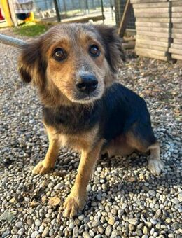 255443 - was bringt die neue Zeit - Overath