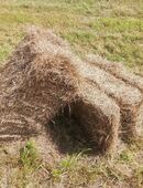 Kleine HD Heuballen für Pferde, Ziegen,Schafe in 87770