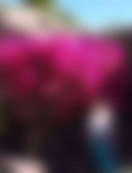 Chr*** - Geiselhöring