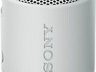 Sony SRS-XB100 Bluetooth-Lautsprecher Stereo (Bluetooth, Kabellos, wasser- und staubdicht, 16-Std.-Akku, umweltfreundlich)