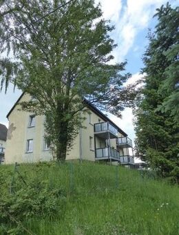 Gemütliche 3 Raum-Dachwohnung - Rechenberg-Bienenmühle