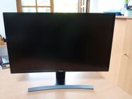 SAMSUNG Curved 27 Zoll - Horn-Bad Meinberg