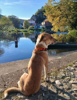 Frau für Ausflug gesucht - Passau